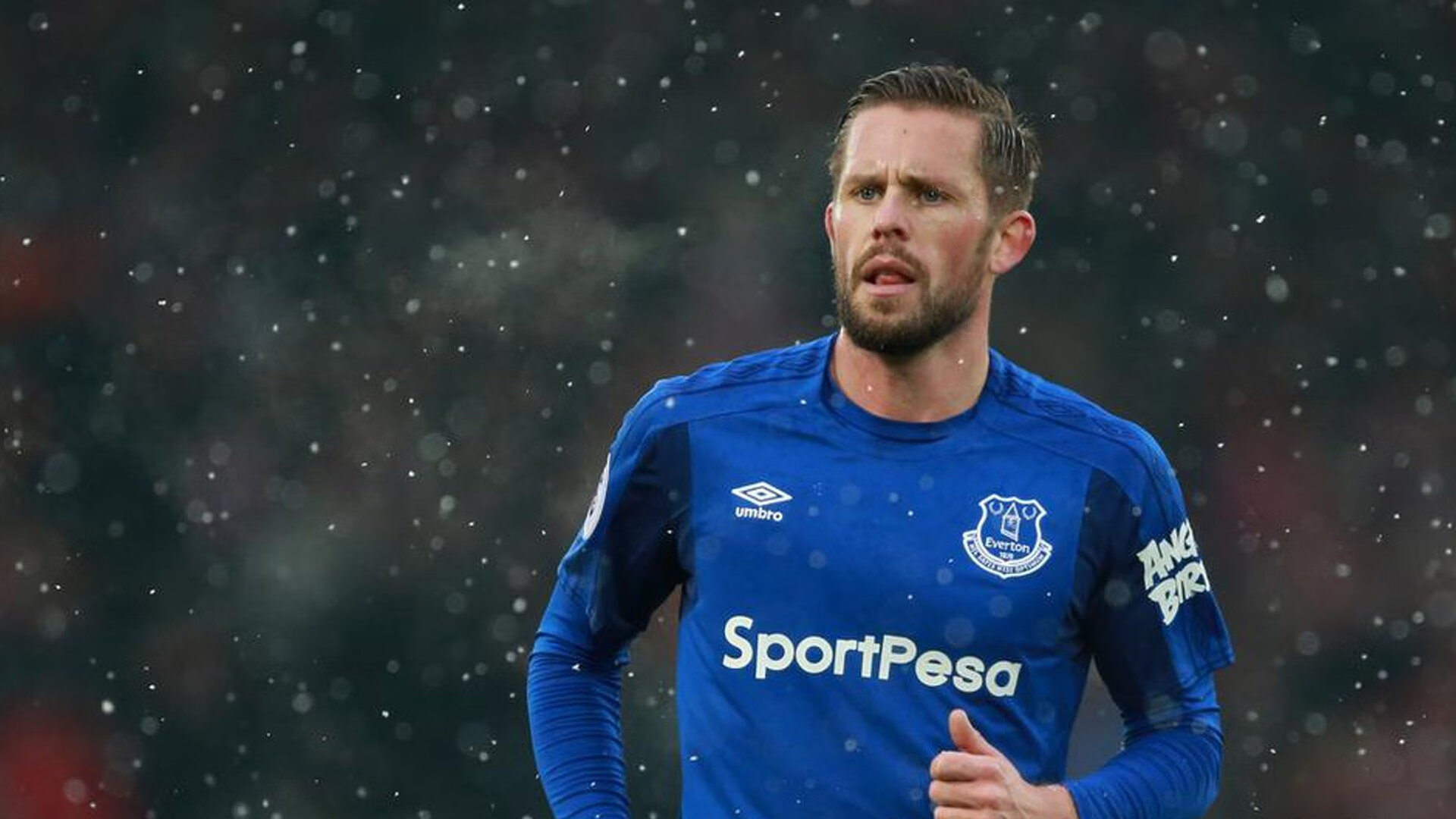 孤星闪耀，当福登在F1年度争冠之夜，用数据写出唯一的神谕